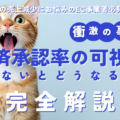 決済承認率を可視化しないとどうなる？EC運営で承認率低下を放置すると売上減少のリスク！